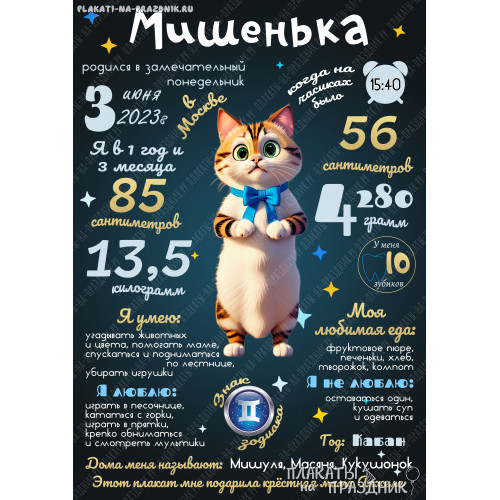 Плакат детская метрика №34