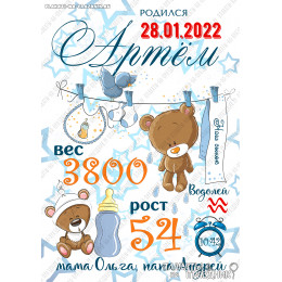 Плакат детская метрика №24